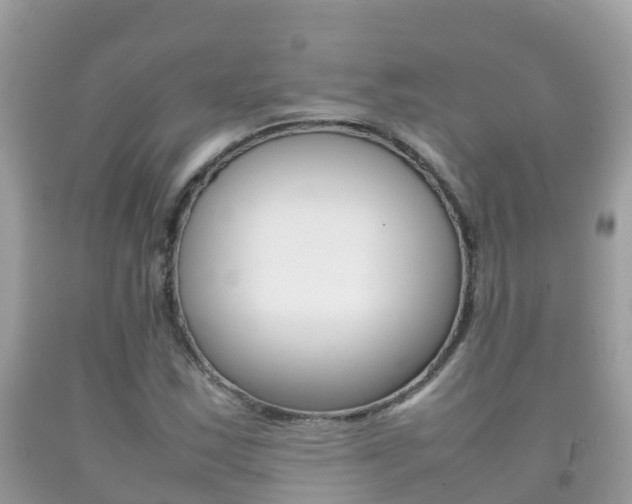 X0000092221163200709140916