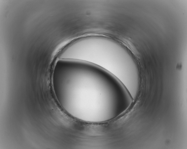 X0000092221164200709140915
