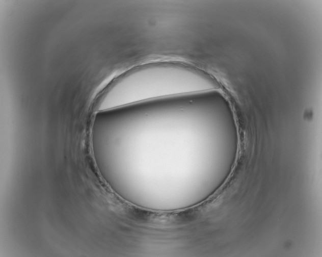 X0000092221165200709140915