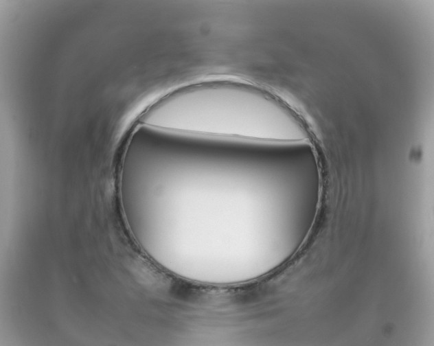 X0000092221167200709140915