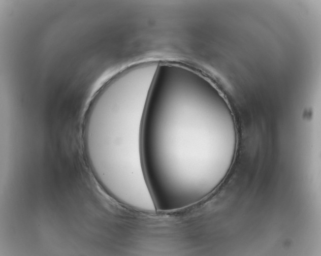 X0000092221168200709140915