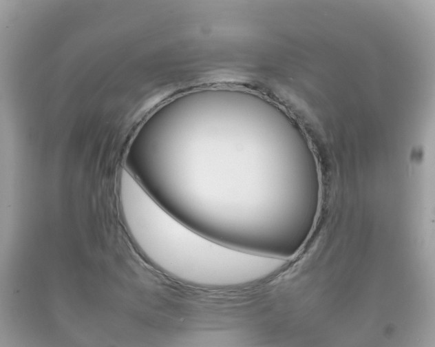X0000092221169200709140915