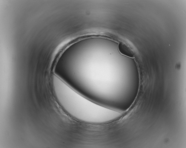 X0000092221172200709140915