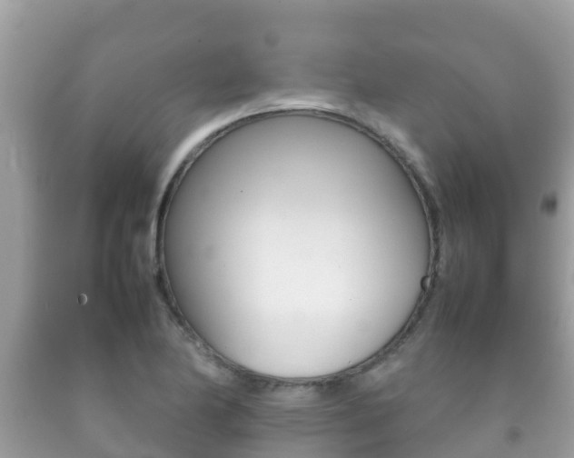 X0000092221174200709140915