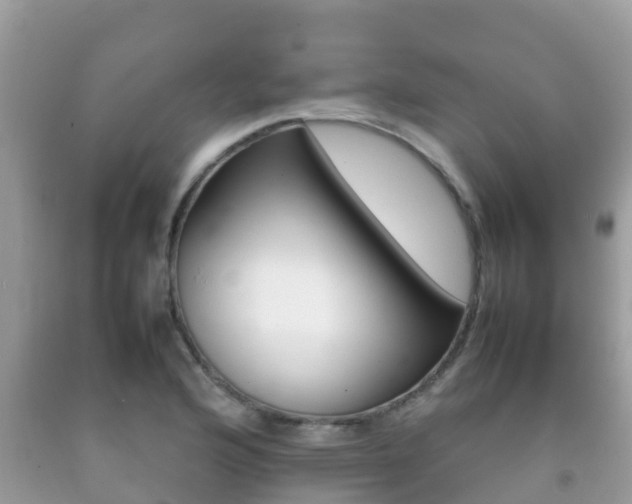 X0000092221176200709140915
