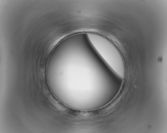X0000092221177200709140915