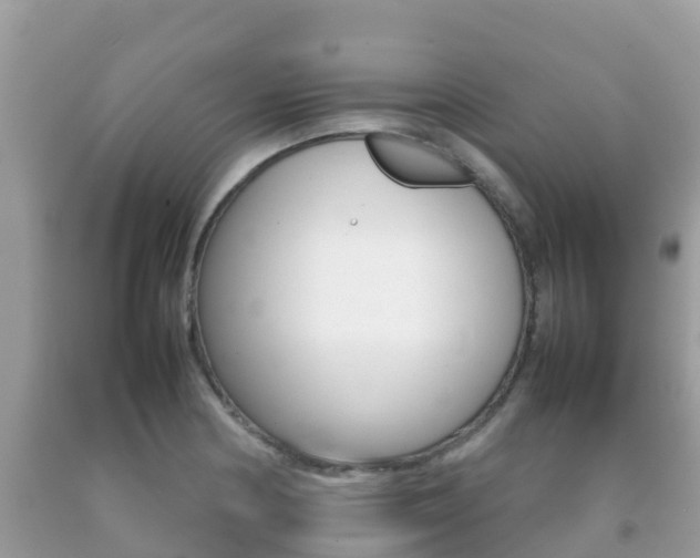 X0000092221178200709140915