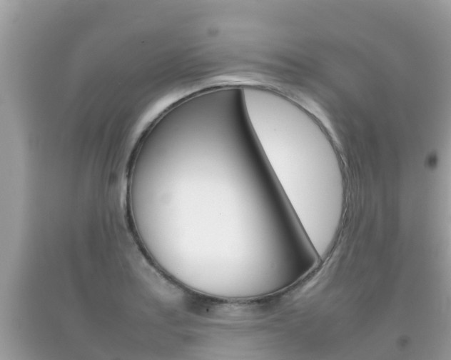 X0000092221179200709140915