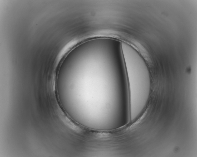 X0000092221180200709140915