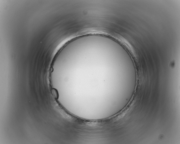 X0000092221182200709140915