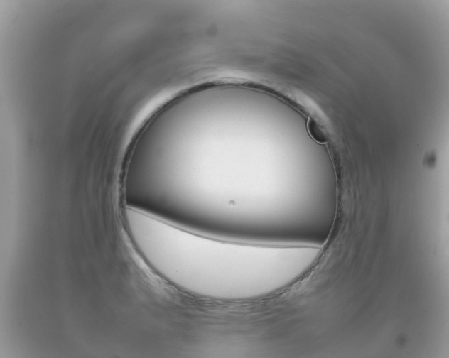 X0000092221183200709140915