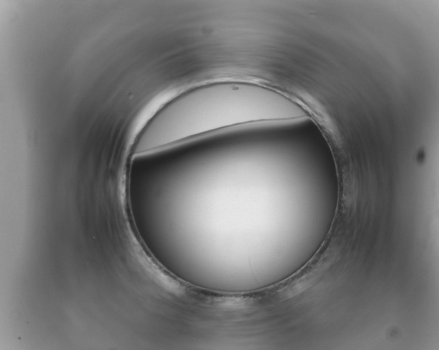 X0000092221188200709140915