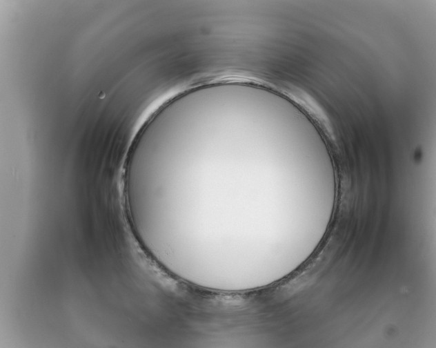 X0000092221190200709140915