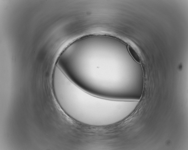 X0000092221191200709140915