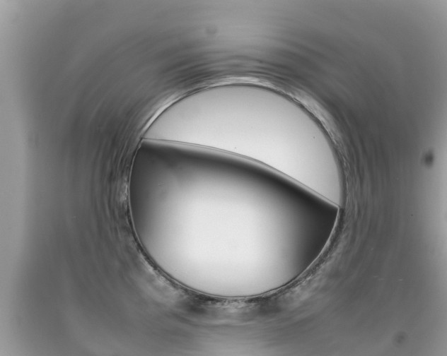 X0000092221193200709140915