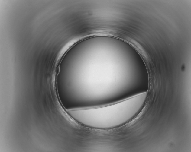 X0000092221196200709140915