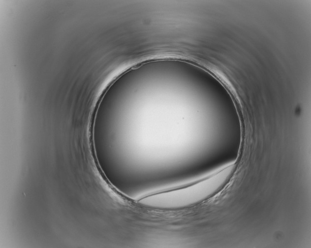 X0000092221197200709140915