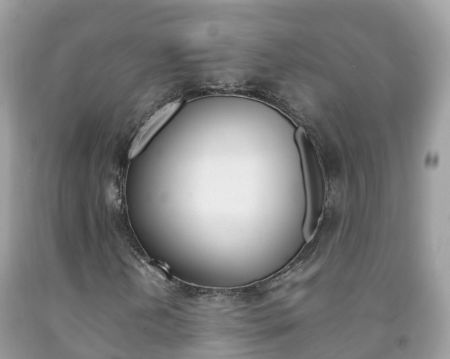 X0000092221202200709140914