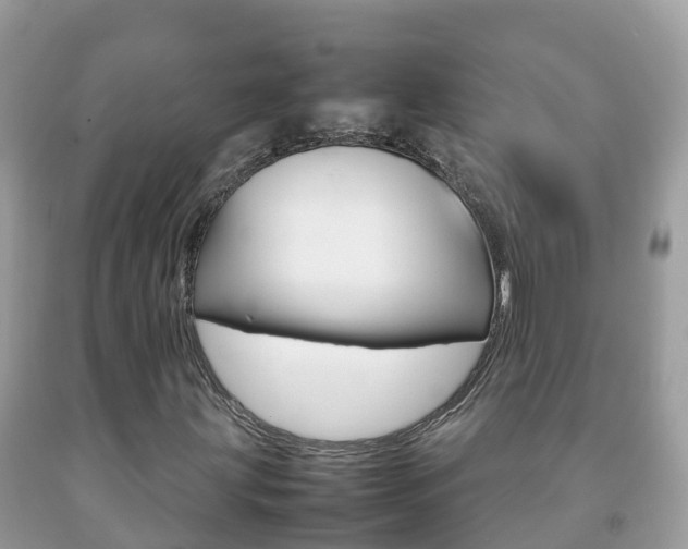 X0000092221203200709140914