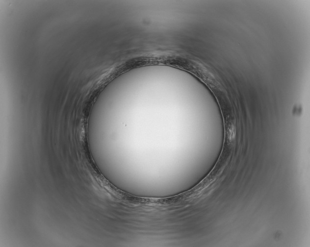 X0000092221204200709140914
