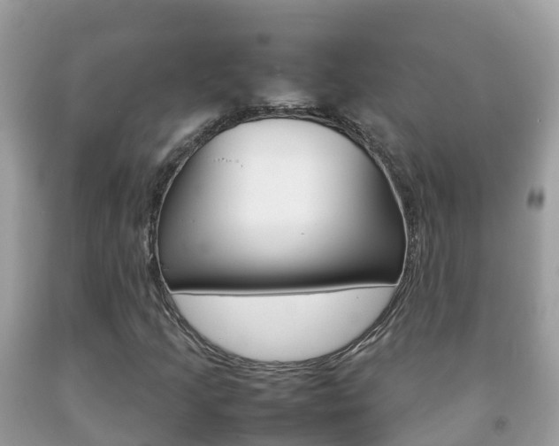 X0000092221205200709140914