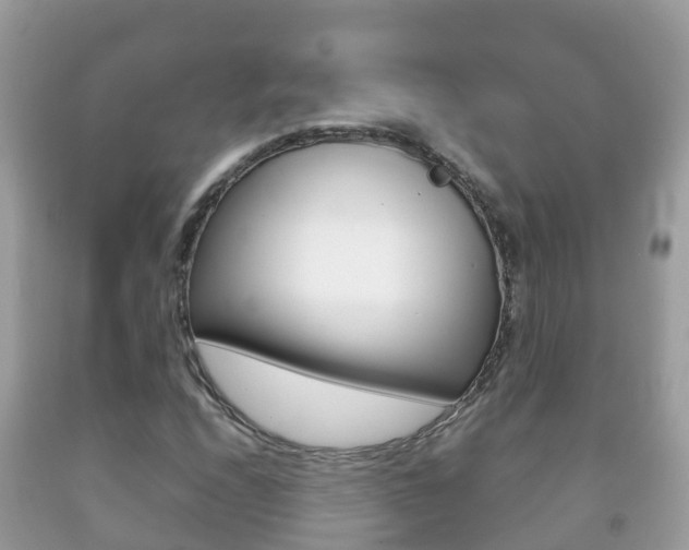 X0000092221208200709140914