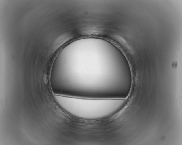 X0000092221209200709140914