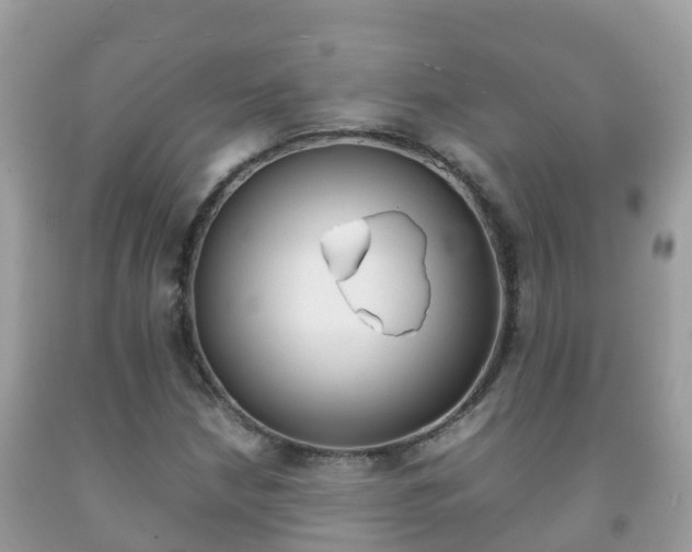 X0000092221210200709140914