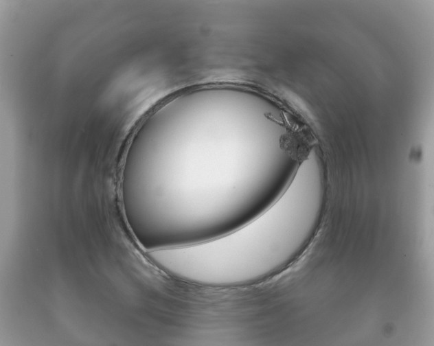 X0000092221212200709140914