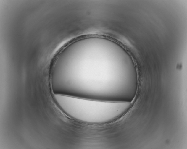 X0000092221216200709140914