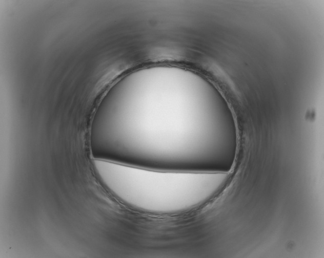 X0000092221217200709140914