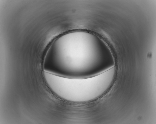 X0000092221218200709140914