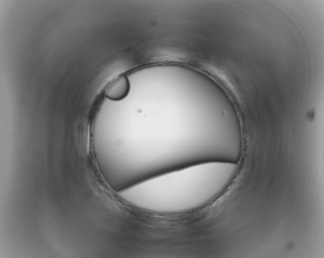 X0000092221219200709140914