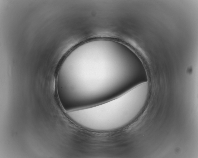 X0000092221221200709140915