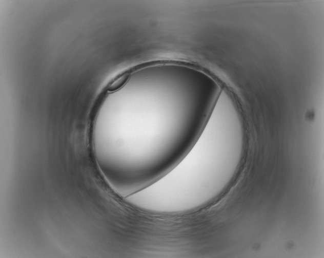 X0000092221222200709140915
