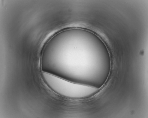 X0000092221224200709140915