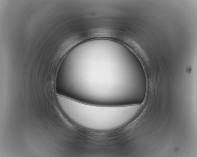 X0000092221225200709140915