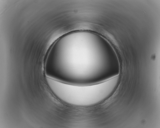 X0000092221226200709140915