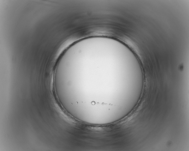 X0000092221227200709140915