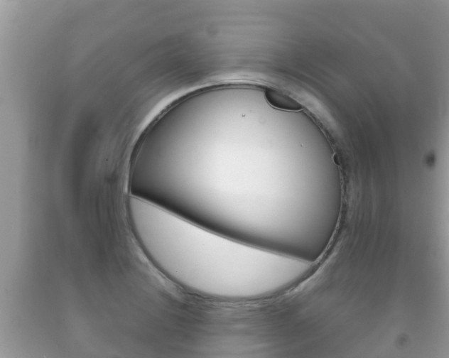 X0000092221228200709140915