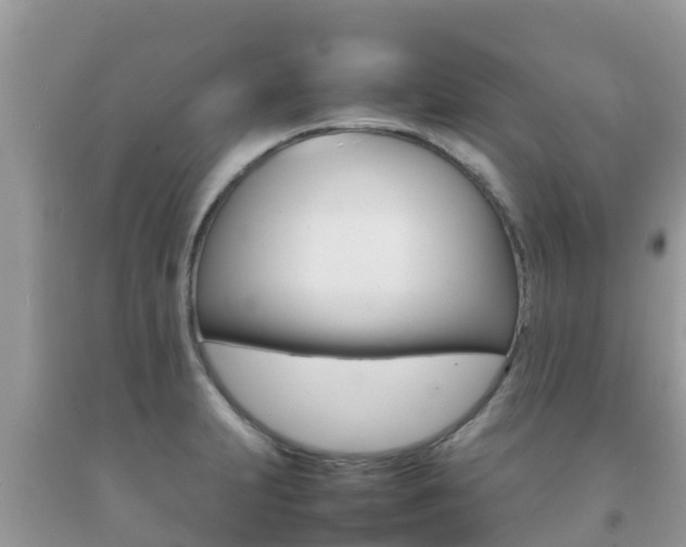 X0000092221231200709140915