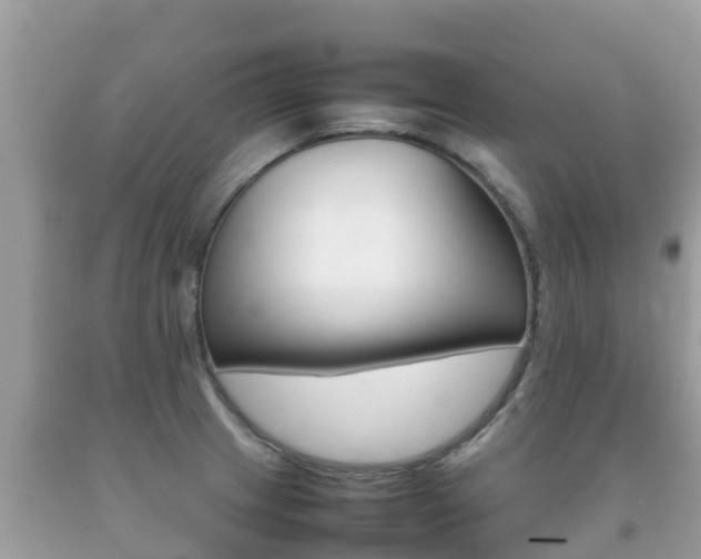 X0000092221233200709140915