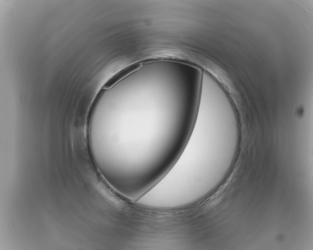 X0000092221234200709140915