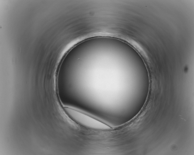 X0000092221238200709140915