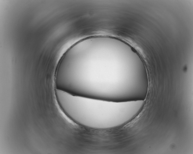 X0000092221239200709140915