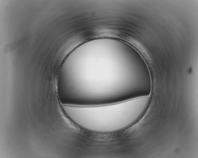 X0000092221241200709140915