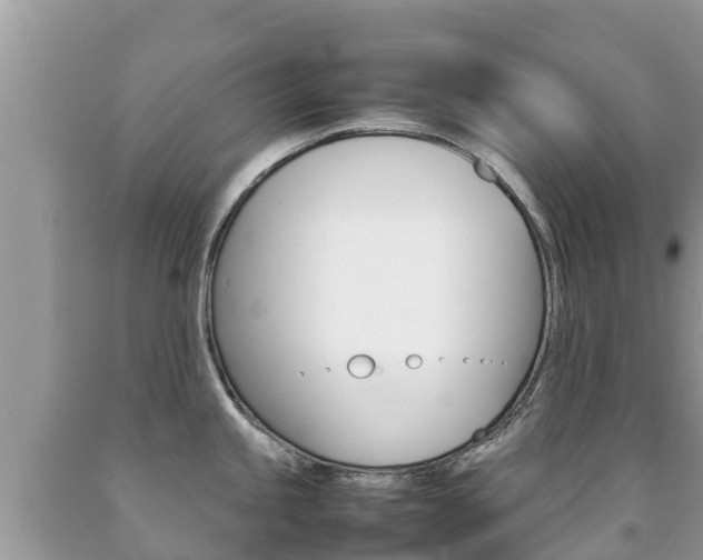 X0000092221245200709140915