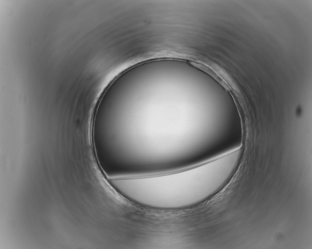X0000092221246200709140915