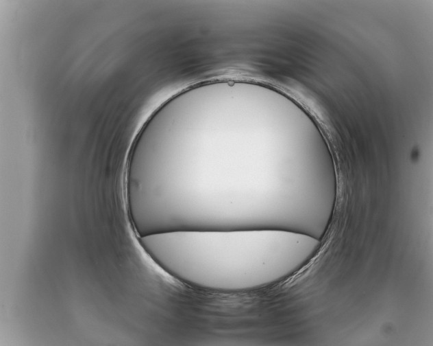 X0000092221247200709140915