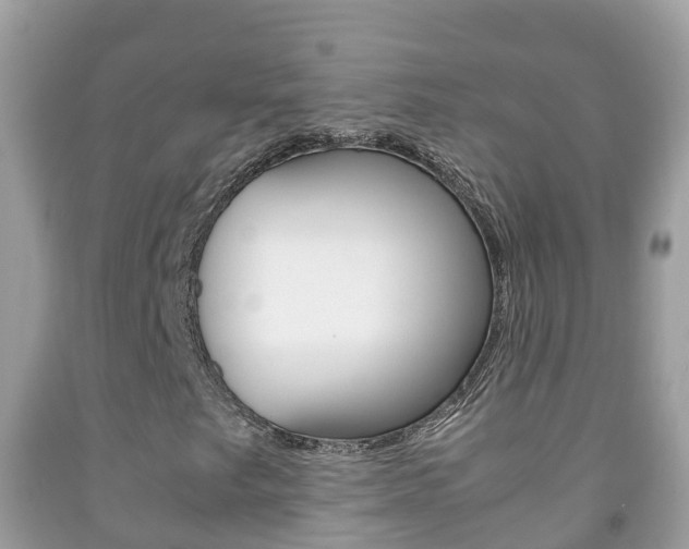 X0000092221249200709140914
